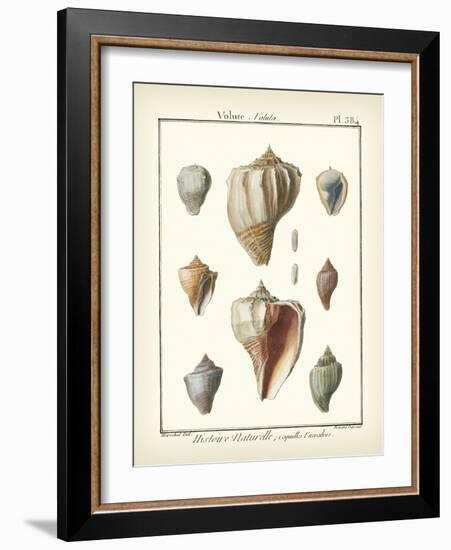 Volute Shells, Pl.384-Diderot-Framed Art Print