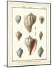 Volute Shells, Pl.384-Diderot-Mounted Art Print