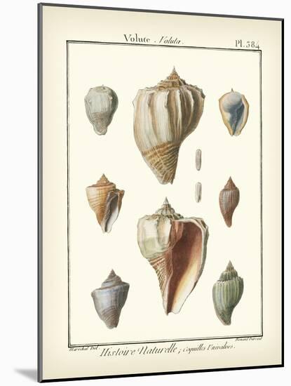 Volute Shells, Pl.384-Diderot-Mounted Art Print