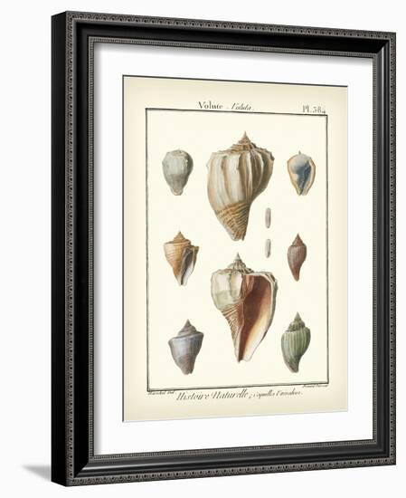 Volute Shells, Pl.384-Diderot-Framed Art Print