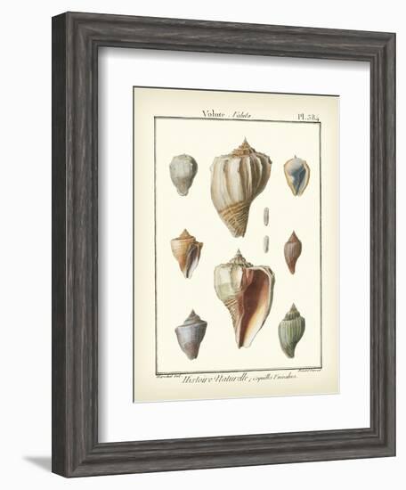 Volute Shells, Pl.384-Diderot-Framed Art Print