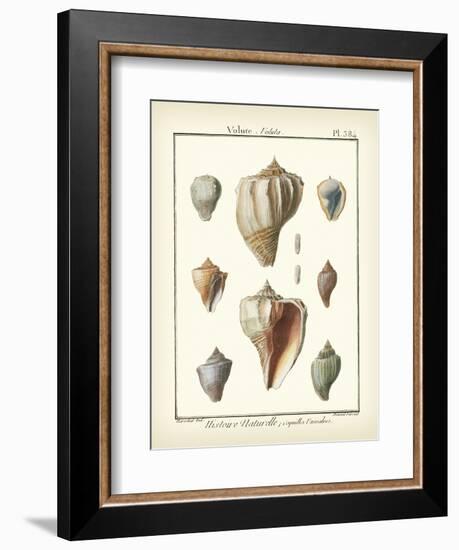 Volute Shells, Pl.384-Diderot-Framed Art Print