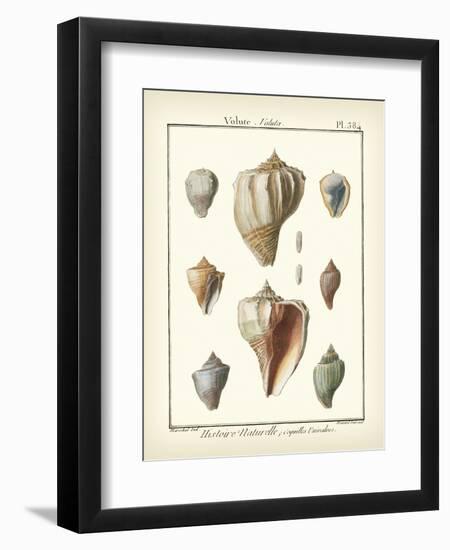 Volute Shells, Pl.384-Diderot-Framed Art Print