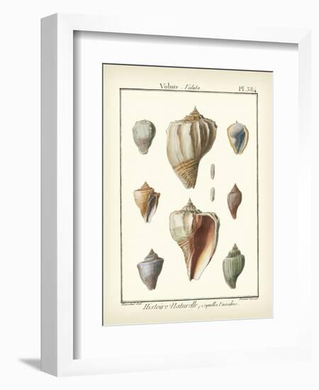 Volute Shells, Pl.384-Diderot-Framed Art Print