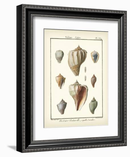 Volute Shells, Pl.384-Diderot-Framed Art Print