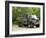 Volvo N10 Truck of the Belgian Army-Stocktrek Images-Framed Photographic Print