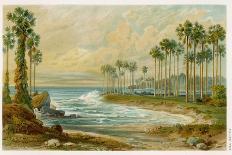 Palmyra Palms Provide Little Shade on a Sri Lanka Beach-Von Konigsbrunn-Framed Photographic Print