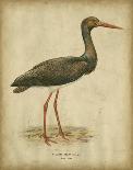 Vintage Heron I-Von Wright-Art Print