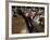 Voodoo Believers Perform a Ceremony at a Sacred Pool in Souvenance, Haiti-null-Framed Photographic Print