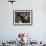 Voodoo Believers Perform a Ceremony at a Sacred Pool in Souvenance, Haiti-null-Framed Photographic Print displayed on a wall