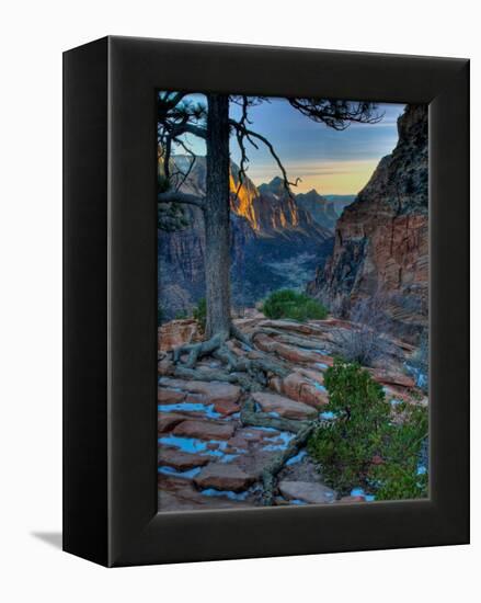 Voota-Jim Crotty-Framed Premier Image Canvas