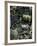 Voovu-Tim Kahane-Framed Photographic Print