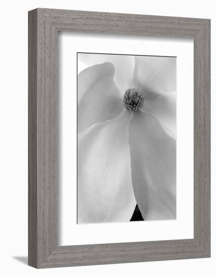 Vortex Of Beauty, 2008-Hiroyuki Arakawa-Framed Photographic Print