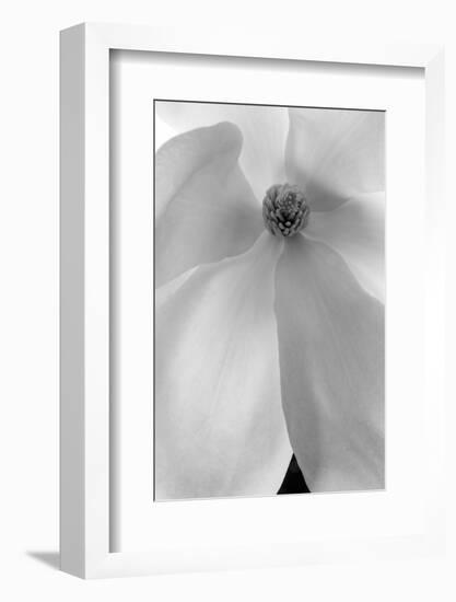 Vortex Of Beauty, 2008-Hiroyuki Arakawa-Framed Photographic Print