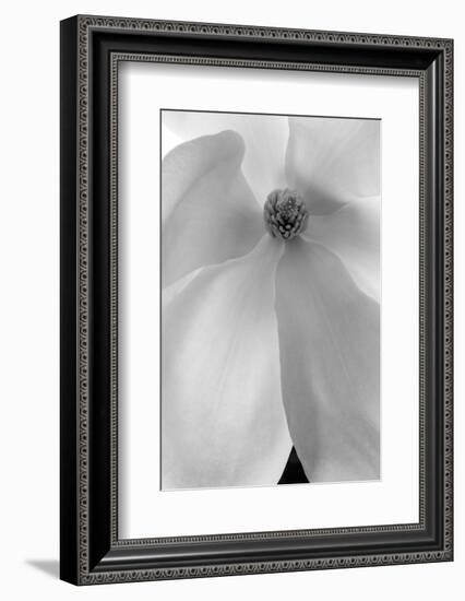 Vortex Of Beauty, 2008-Hiroyuki Arakawa-Framed Photographic Print