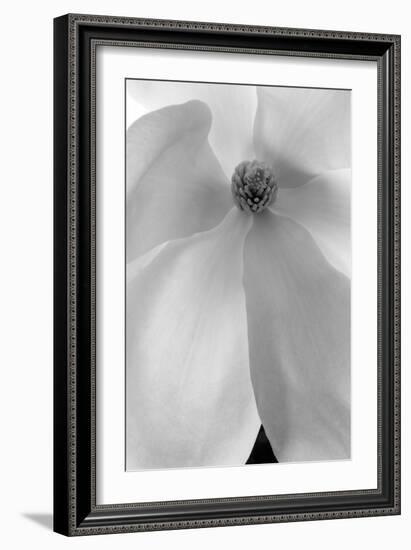 Vortex Of Beauty, 2008-Hiroyuki Arakawa-Framed Premium Photographic Print