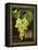 Vouvray-Kate Ward Thacker-Framed Premier Image Canvas