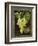 Vouvray-Kate Ward Thacker-Framed Giclee Print