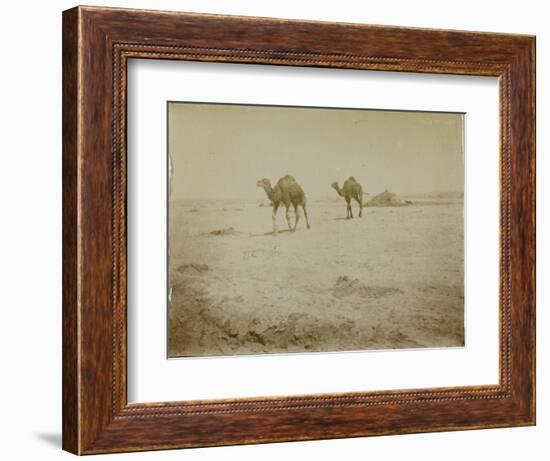 Voyage en Algérie : chameaux près de Biskra-Henri Jacques Edouard Evenepoel-Framed Giclee Print