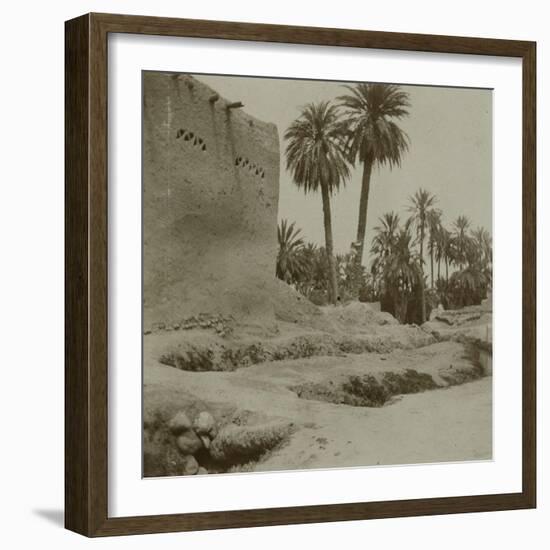 Voyage en Algérie : vue d'une palmeraie-Henri Jacques Edouard Evenepoel-Framed Giclee Print