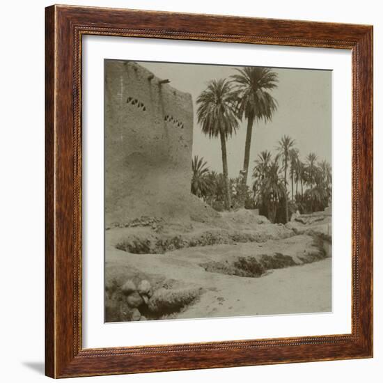 Voyage en Algérie : vue d'une palmeraie-Henri Jacques Edouard Evenepoel-Framed Giclee Print