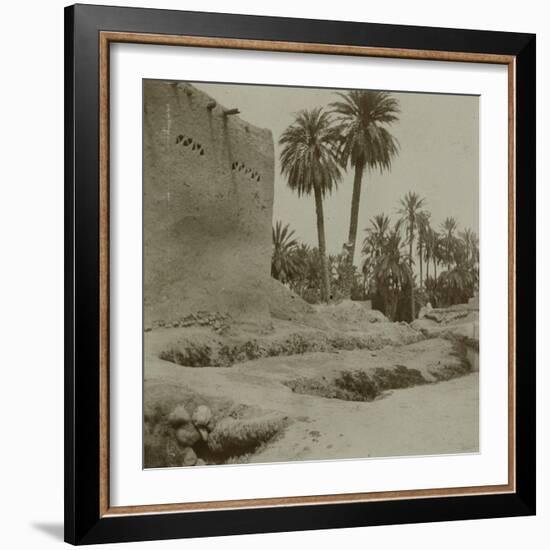 Voyage en Algérie : vue d'une palmeraie-Henri Jacques Edouard Evenepoel-Framed Giclee Print