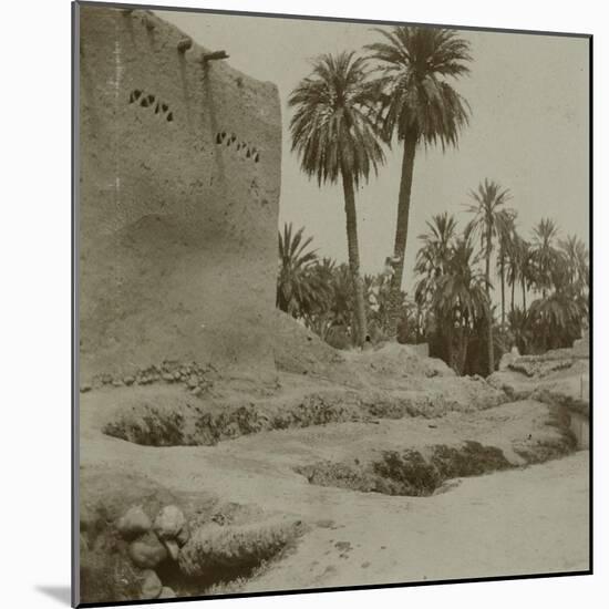 Voyage en Algérie : vue d'une palmeraie-Henri Jacques Edouard Evenepoel-Mounted Giclee Print
