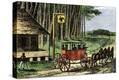 Stretched Canvas Print