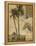 Voyage to Africa-Hugo Wild-Framed Stretched Canvas