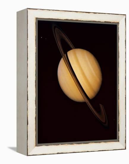 Voyager 1 Image of Saturn & Three of Its Moons-null-Framed Premier Image Canvas