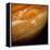 Voyager 1 Image of the Planet Jupiter-null-Framed Premier Image Canvas