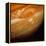 Voyager 1 Image of the Planet Jupiter-null-Framed Premier Image Canvas