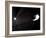 Voyager 1 Leaving the Solar System-null-Framed Photographic Print