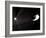 Voyager 1 Leaving the Solar System-null-Framed Photographic Print