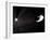 Voyager 1 Leaving the Solar System-null-Framed Photographic Print