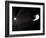 Voyager 1 Leaving the Solar System-null-Framed Photographic Print