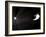 Voyager 1 Leaving the Solar System-null-Framed Photographic Print