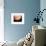 Voyager 1 Photo of Jupiter-null-Framed Premium Photographic Print displayed on a wall