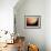 Voyager 1 Photo of Jupiter-null-Framed Photographic Print displayed on a wall