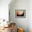 Voyager 1 Photo of Jupiter-null-Framed Photographic Print displayed on a wall