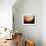 Voyager 1 Photo of Jupiter-null-Framed Photographic Print displayed on a wall