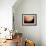 Voyager 1 Photo of Jupiter-null-Framed Photographic Print displayed on a wall