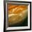 Voyager 1 View of Jupiter's Great Red Spot-null-Framed Premium Photographic Print