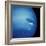 Voyager 2 Image of Neptune-null-Framed Premium Photographic Print