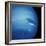 Voyager 2 Image of Neptune-null-Framed Premium Photographic Print