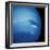 Voyager 2 Image of Neptune-null-Framed Premium Photographic Print