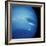 Voyager 2 Image of Neptune-null-Framed Premium Photographic Print