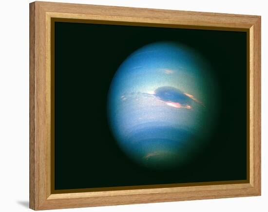 Voyager 2 Image of the Planet Neptune-null-Framed Premier Image Canvas
