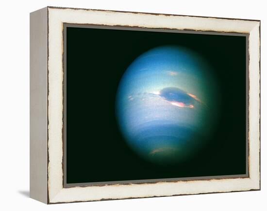 Voyager 2 Image of the Planet Neptune-null-Framed Premier Image Canvas