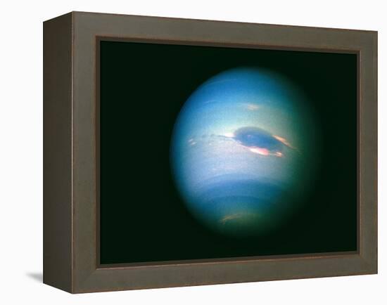 Voyager 2 Image of the Planet Neptune-null-Framed Premier Image Canvas